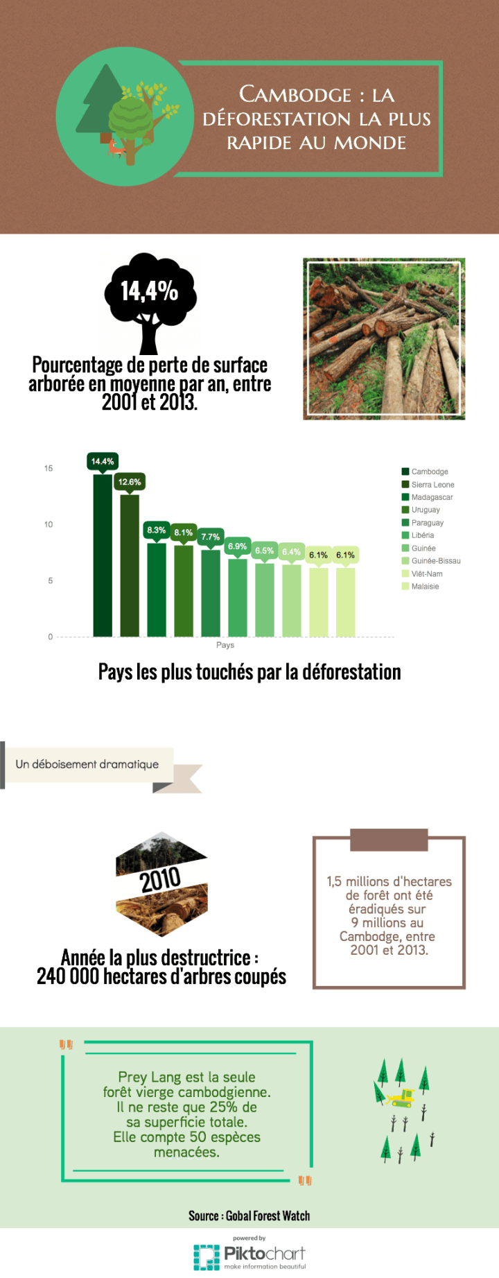 INFOGRAPHIE - Cambodge la déforestation la plus rapide du monde