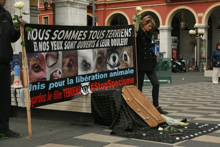 Une pancarte géante et un cercueil attirent l’œil des passants. (Crédit photo : Djenaba Diame)