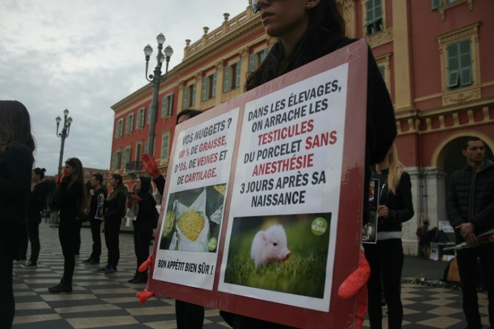 A Nice, les manifestants ont choisi des images et des mots chocs pour marquer les passants. (Crédit photo : Djenaba Diame)