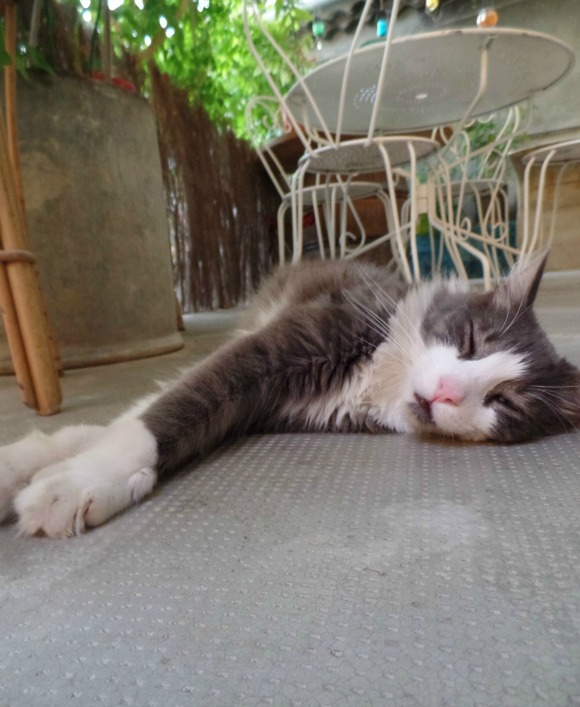 SAMSUNG CAMERA PICTURES