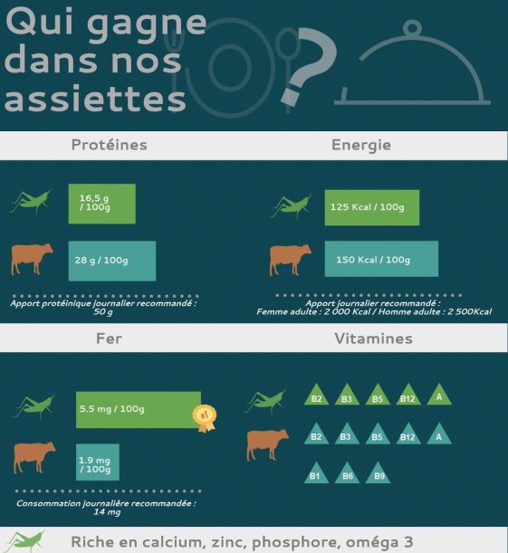 apports-nutritionnels