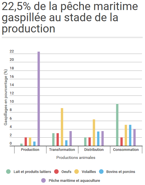 gaspillage-productions-animales