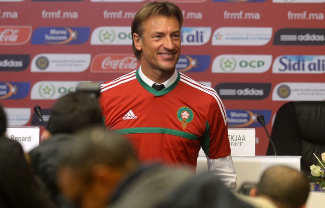 Avec Hervé Renard, le Maroc a le droit de rêver (Crédit photo : FADEL SENNA / AFP)