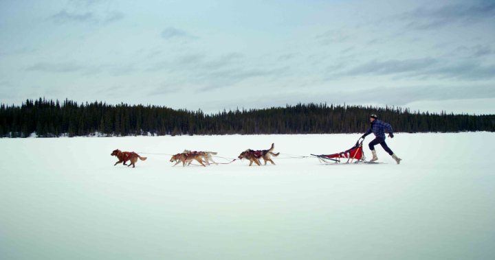 Koneline permet d’explorer les multiples paysages du Nord canadien (Crédit : Canada Wild)
