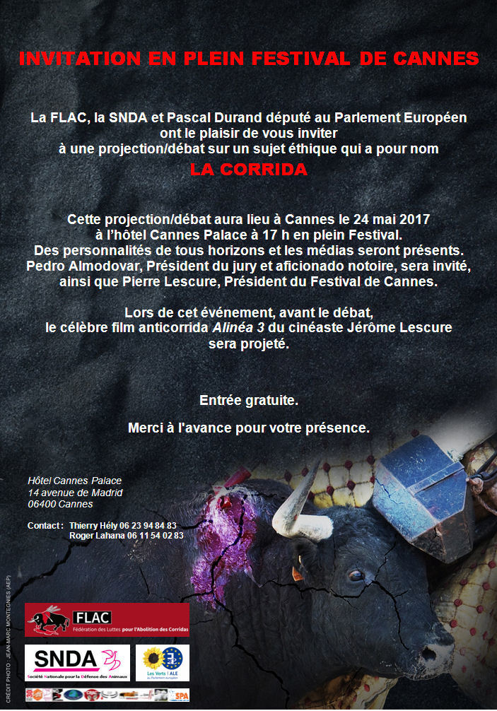 projection débat corrida