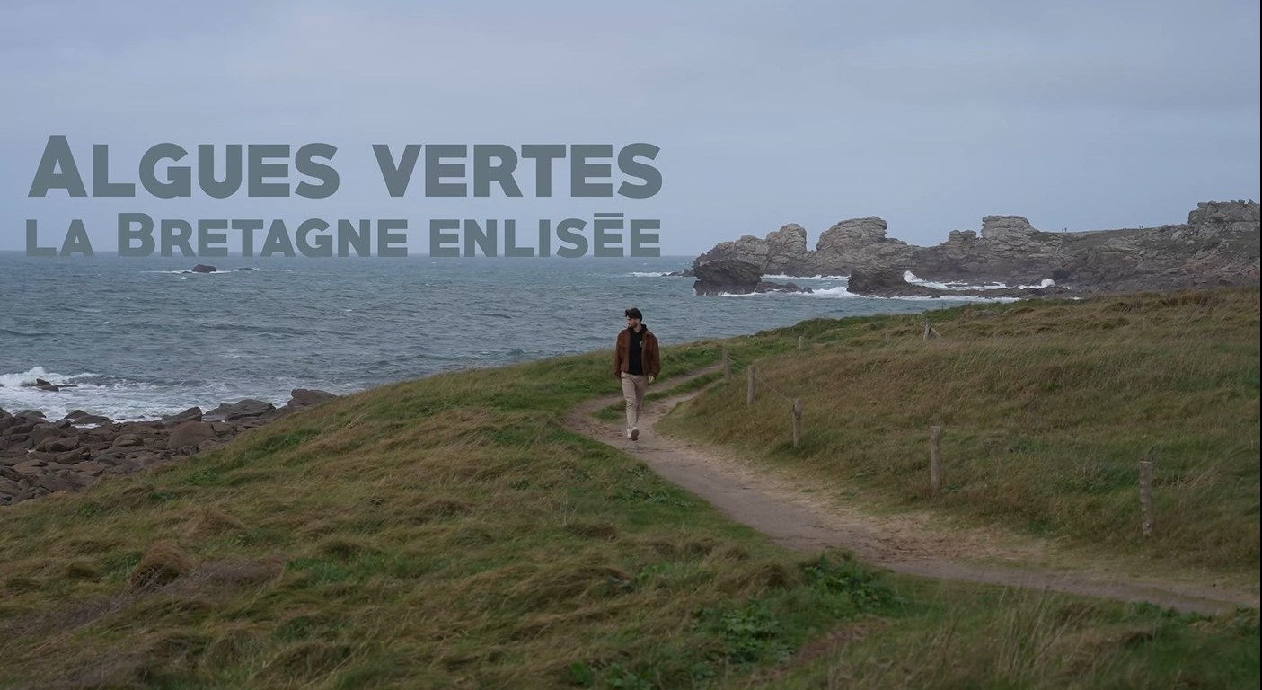 algues vertes, la bretagne enlisée