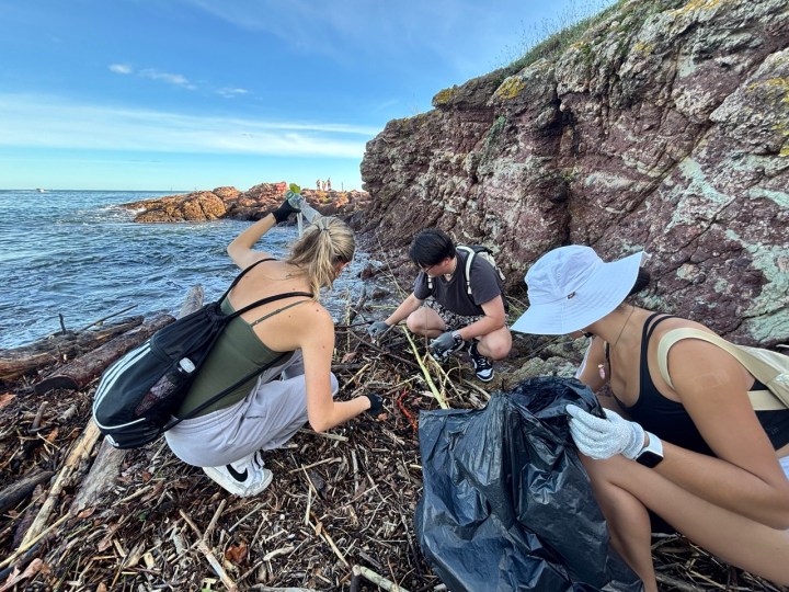 Les bénévoles de l'association Surf Rider ramassent des déchets sur la plage de Mandelieu-La-Napoule. Photo Margot Lemoine 