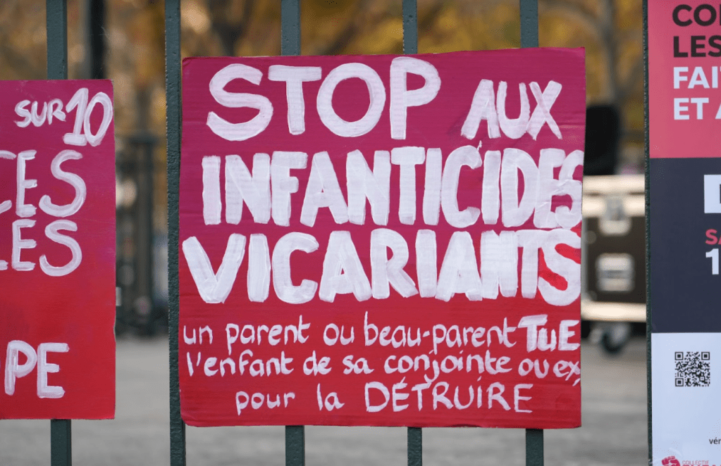Une pancarte dénonçant les infanticides vicariants, lors d’une manifestation organisée par le collectif Enfantiste à Paris, le 16 novembre 2024. (Photo : Lucie Verdier)