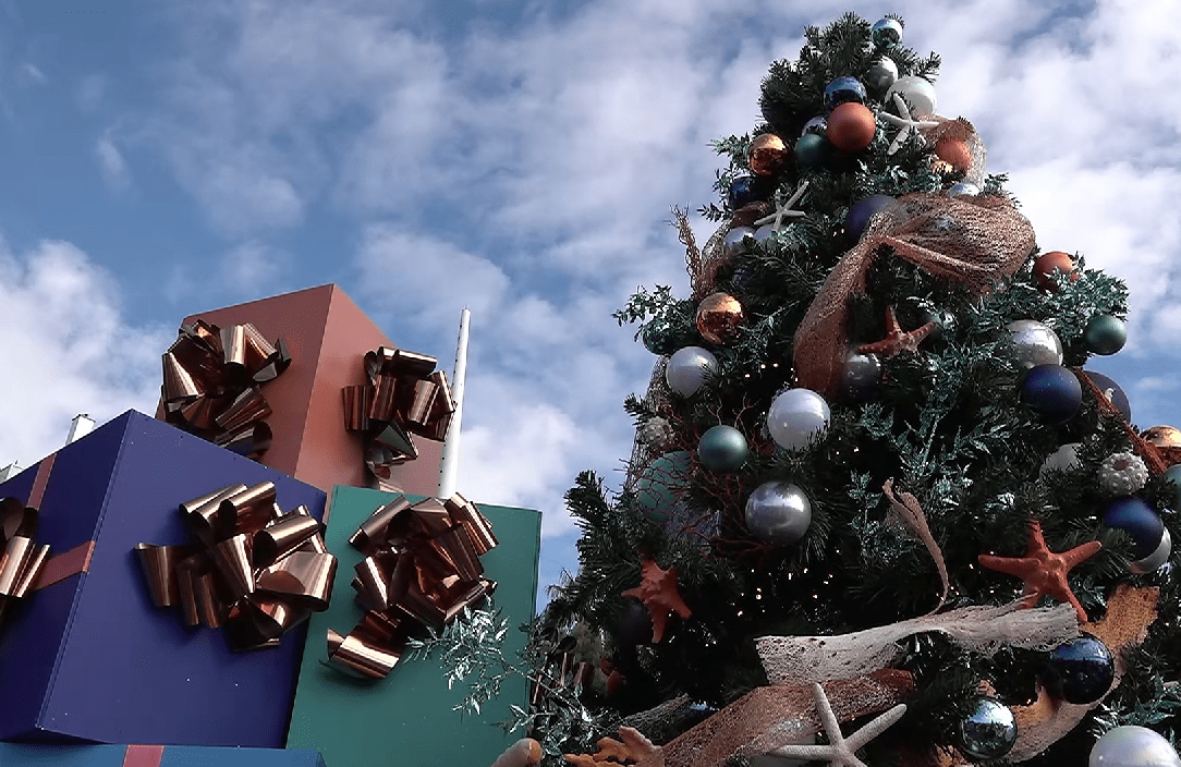 Les plages privées de Cannes se transforment pour Noël. Photo : M.L.