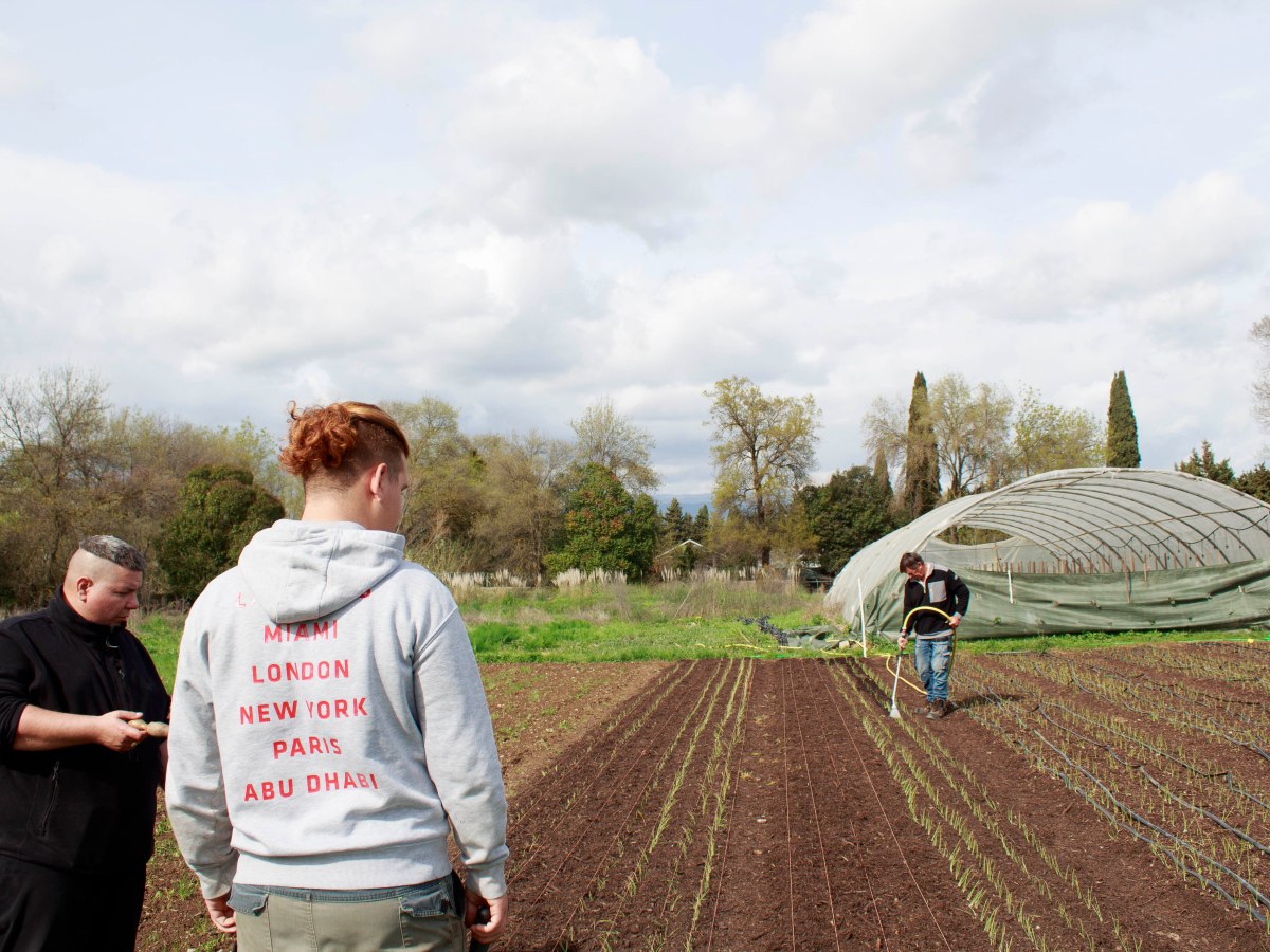 Changer de vie pour en cultiver une autre 